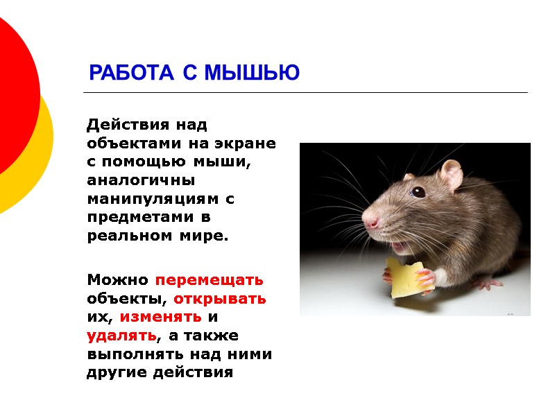РАБОТА С МЫШЬЮ Действия над объектами на экране с помощью мыши, аналогичны манипуляциям с